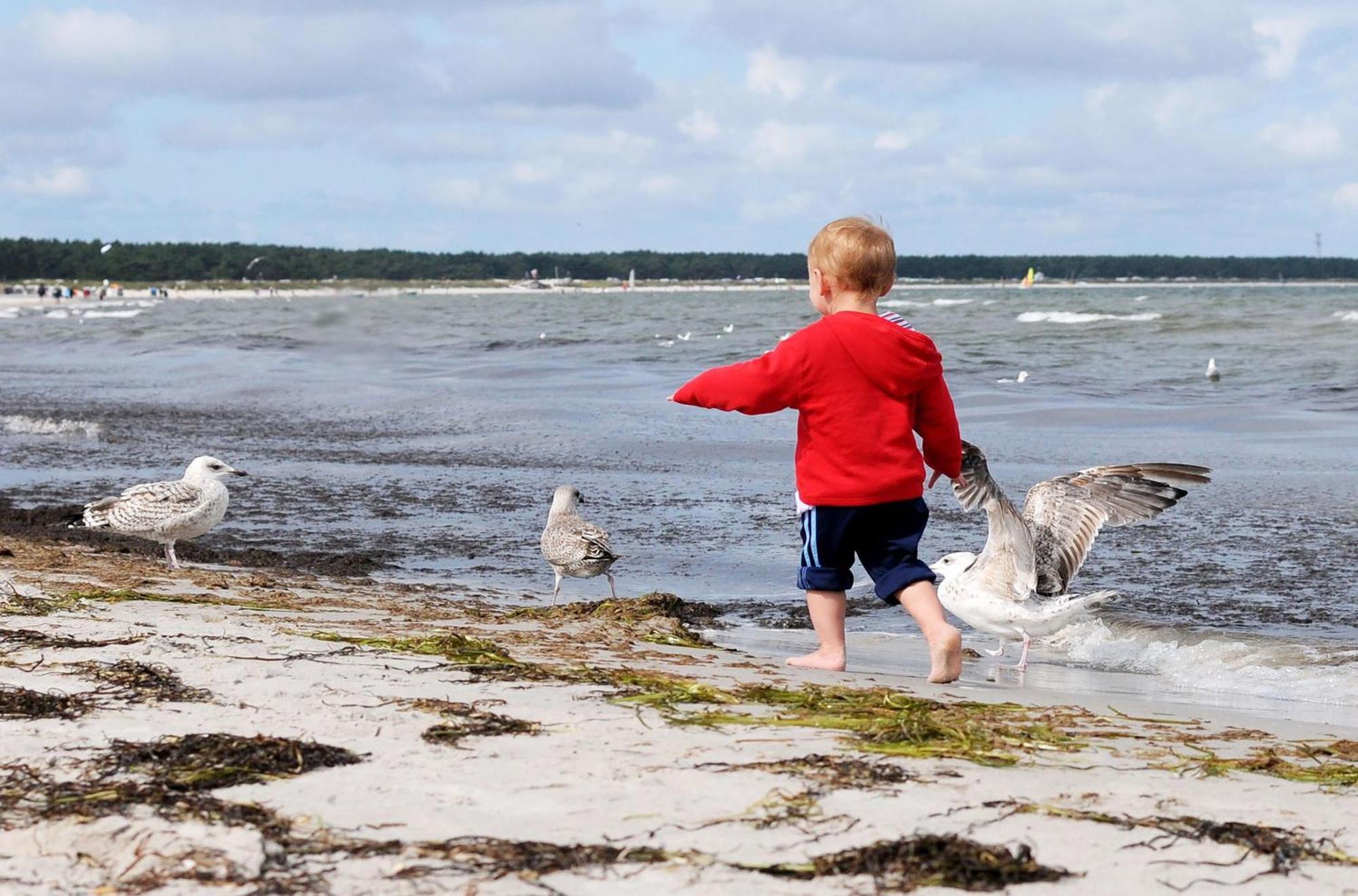 Kranichtanz An Der Seebruecke Zingst Extérieur photo