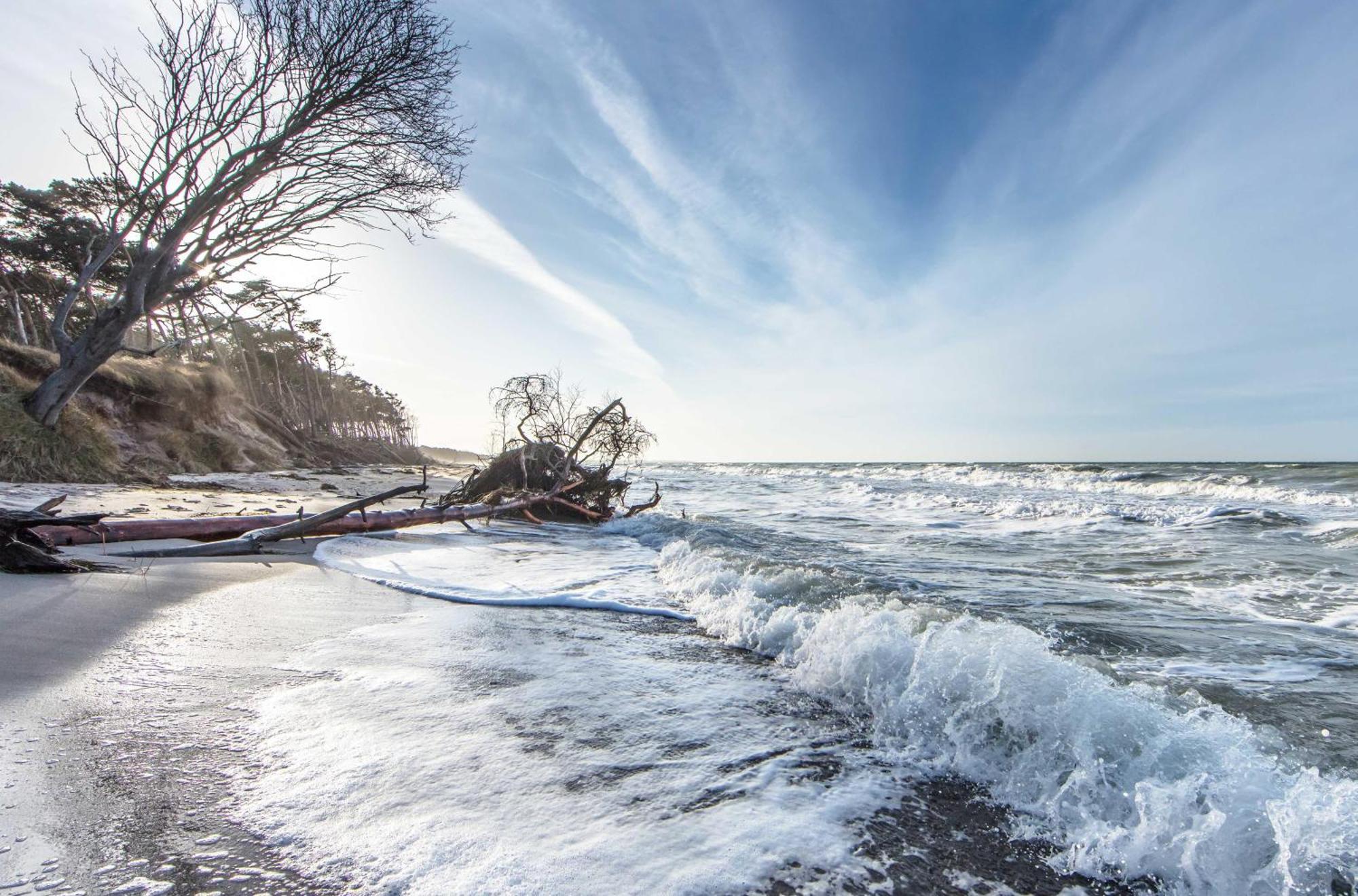 Kranichtanz An Der Seebruecke Zingst Extérieur photo